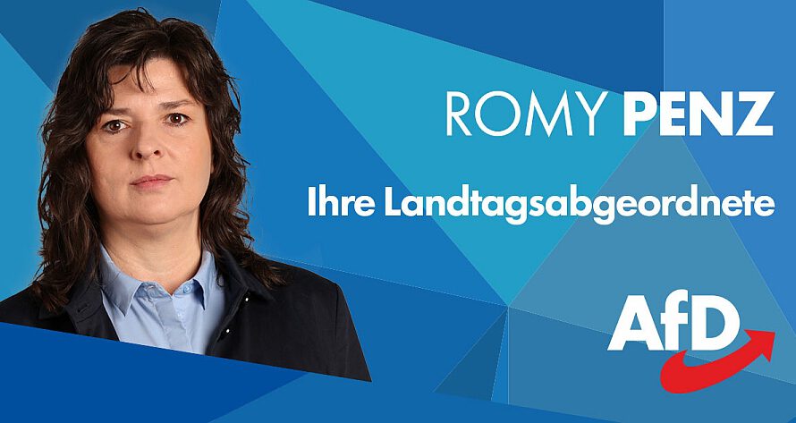 Romy Penz leitet ab sofort Schulausschuss im Landtag!