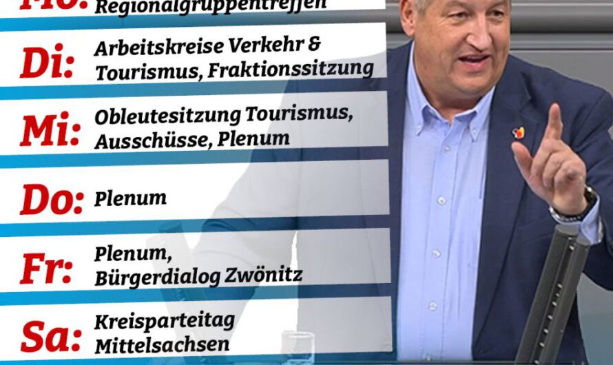 MONCSEK im Bundestag – KW 11: 13.03.-19.03.2023