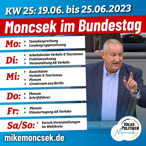 MONCSEK im Bundestag KW 25 (19.06.-25.06.2023)